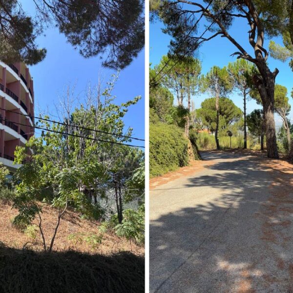 Douma Heritage Street